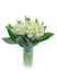 Lily of the valley on white background isolated, paths, bouquet, bunch white flowers lilies in vase of glass. Happy