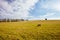 Lilydale to Warburton Rail Trail Landscape in Australia