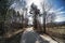 Limanowa, South Poland: A turning road during shadow and light at daytime in between leafless tall trees