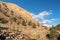 Limber Grove on the North side of Sheep Mountain in the Mosquito Range Colorado.