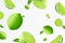 Lime background. Flying whole, half and slices of fresh lime. Unfocused and blurry effect. Can be used for wallpaper, banner,