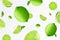 Lime background. Flying whole, half and slices of fresh lime. Unfocused and blurry effect. Can be used for wallpaper, banner,