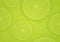 Lime background vector