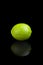 Lime on a black reflective background