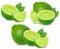 Lime collection