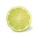 Lime cross-section isolated with clipping path