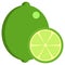 Lime fresh juicy citrus fruit icon, vector illustration