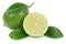 Lime fresh organic fruits isolated on white