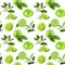 Lime fruit seamless watercolor pattern. Hand draw illustration.