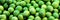 Lime fruits banner