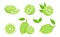 Lime fruits. Citrus slices, isolated green lemons. Fresh vitamin c vector illustration