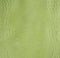 Lime Green Embossed Gator Back Leather Texture