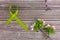 Lime green ribbon. Mental health awareness month concept mental health letters on old aged wooden background with