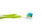 Lime green toothbrush and toothpaste on white