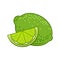 Lime Icon