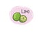 Lime icon. Half and full lime slice green illustration lemon isolated half fruit lime. Fresh green cut citrus icon