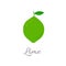 Lime icon with title