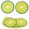 Lime illustration with slices
