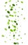 Lime Leaf Motion Vector Branch. Nature Foliage