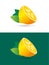 Lime or lemon fruit slice. Lemonade juice logo