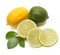 Lime, lemon and leaf