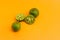 Lime or Limau (Citrus amblycarpa) isolated on orange background