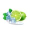 Lime with mint or tea leaves and ice cube ssliced lime, leaves, puddle water 3d realistic