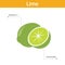 Lime nutrient of facts and health benefits, info graphic fruit