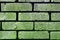 Lime old vintage brick wall texture - pretty abstract photo background