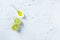 Lime, olive oil and sea salt on gray background; symbolic image