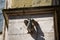 Lime sandstone gargoyles at St. Peter`s Cathedral in Regensburg, photographed in spring