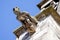 Lime sandstone gargoyles at St. Peter`s Cathedral in Regensburg, photographed in spring