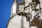 Lime sandstone gargoyles at St. Peter`s Cathedral in Regensburg, photographed in spring