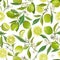 Lime Seamless Fruit Vector Pattern. Floral Citrus Illustration Background. Flowers, Leaves, Limes, Lemons Design