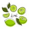 Lime set. Lime, slice, half, whole, and leaves.
