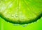 Lime slice with drop of lemon juice close-up. Fresh and juicy Citrus over green background. Dripping lime juice closeup