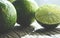 Lime slices on wooden table. Detox diet, limes Backgrounds, Close up shot, citrus fruit