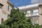 Lime Trees growing in Plaza de Majorca