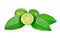 Limes with slices and leaves