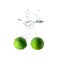 Limes splash on water on white background