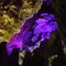 Limestone Cave, Illuminated Cavern, Grotto