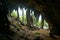 Limestone cave on Rurutu island French Polynesia