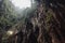 Limestone cave texture with green and sun light inside Batu Caves near Kuala Lumpur, Malaysia.