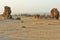 Limestone chimneys on the dried lake Abbe in Djibuti