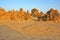 Limestone chimneys on the dried lake Abbe in Djibuti