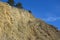 Limestone cliff with pine trees on top of a rock. yellow weathered stones are a source of lime and cement. remnants of the bottom