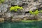 Limestone cliff with trees in Turtles Hole on Ouvea Island, Loyalty Islands, New Caledonia