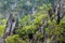 Limestone coastline landscape