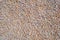 Limestone colored gravel texture