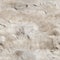 Limestone Creative Abstract Photorealistic Texture.